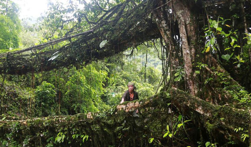 Meghalaya: India's Abode of Clouds - A Paradise Untouched